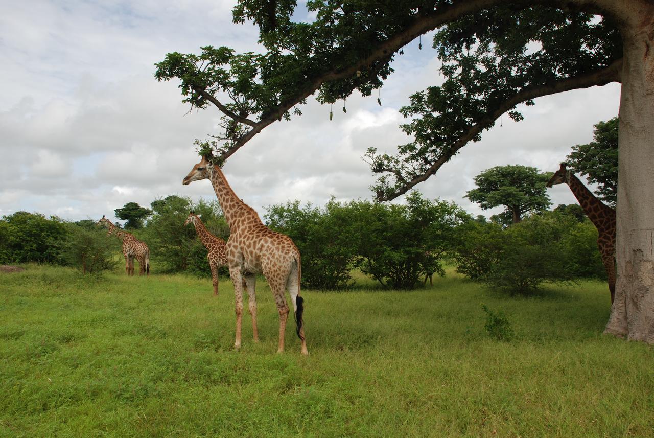 Safari Village Saly Екстер'єр фото